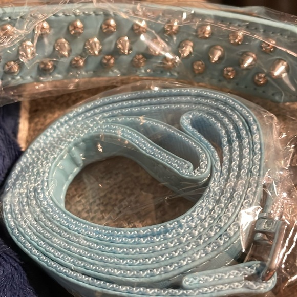 Collar & Leash Set